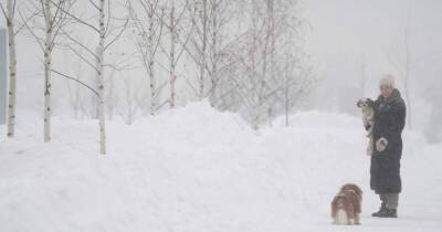 Штормовой ветер и сильные снегопады накроют Москву с 5 января