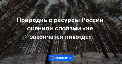 Природные ресурсы России оценили словами «не закончатся никогда»