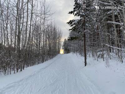 3 января в Ульяновской области ожидается морозная и снежная погода