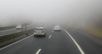 Синоптики предупредили о тумане 3 января в Новосибирской области