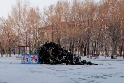 В Приморье обсуждают очередную упавшую новогоднюю елку
