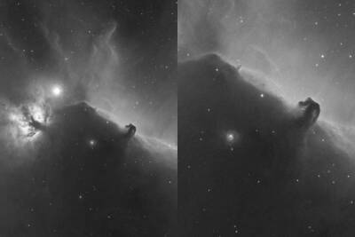 Новосибирец сфотографировал туманность Конская голова в созвездии Орион