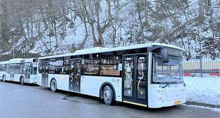 Власти увеличили число автобусов для туристов в Сочи