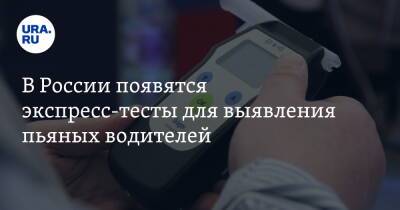 В России появятся экспресс-тесты для выявления пьяных водителей