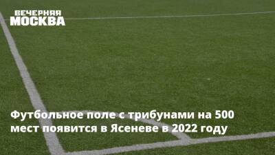 Футбольное поле с трибунами на 500 мест появится в Ясеневе в 2022 году