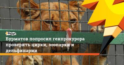 Бурматов попросил генпрокурора проверить цирки, зоопарки и дельфинарии