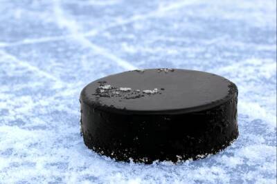 Задоров разочарован, что НХЛ запретила игрокам участвовать в Олимпиаде