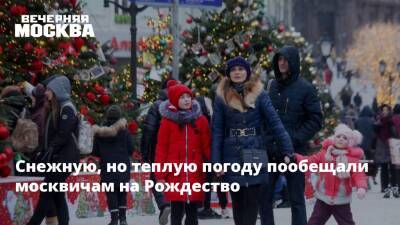 Снежную, но теплую погоду пообещали москвичам на Рождество