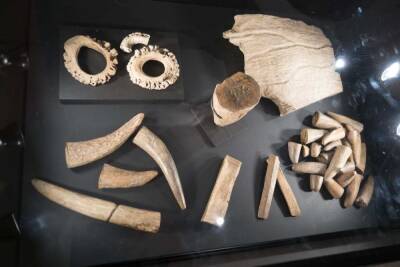 Археологи раскопали более 100 тысяч артефактов на древнейшей стоянке Сибири