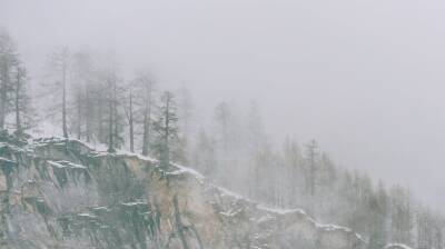 Снегопад и метель: в Украине ожидается ухудшение погодных условий