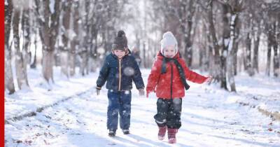 Когда в Московский регион придут рождественские морозы, рассказала метеоролог