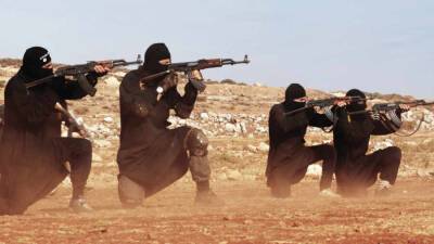 SANA: террористы ИГ* напали на колонну военных в Сирийской пустыне