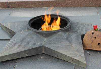 Полиция Кронштадта провела беседу с парнем, потушившим «Вечный огонь» на братской могиле
