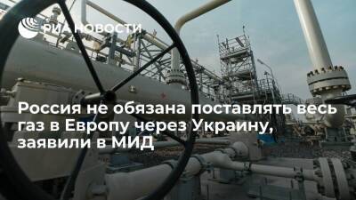 Замглавы МИД Панкин: Россия не обязана поставлять весь газ в Европу через Украину