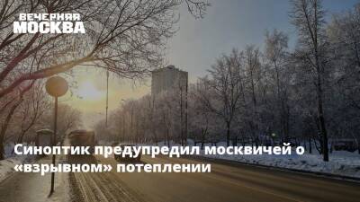 Синоптик предупредил москвичей о «взрывном» потеплении