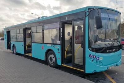 В Петербурге появится новый автобус от «Парнаса» до «Ручьев»