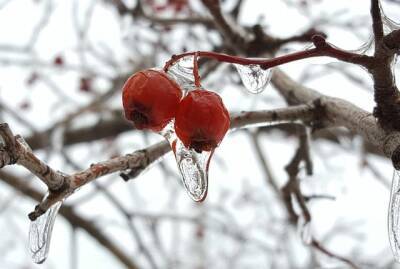 В ночь на 4 января на севере Рязанской области похолодает до -20 градусов