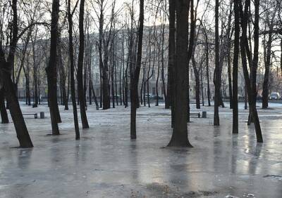 Во вторник в Рязанской области ожидаются 20-градусный мороз и гололедица