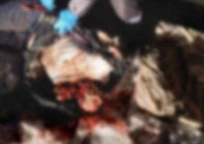 Опубликованы фото с места гибели 37-летнего полицейского при запуске салюта под Рязанью