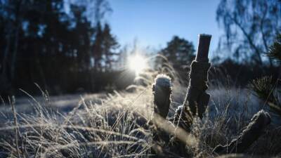 С +18°С до -1°С: в Германию возвращается зима