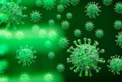 В Мурманской области выявлено 96 случаев заражения коронавирусом за сутки