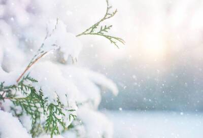 В Ленобласти ожидается сильный снегопад и гололедица