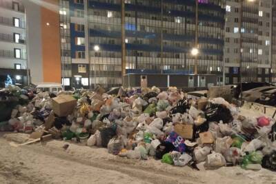 «Куча стала больше»: петербургские дворы зарастают мусором после Нового года