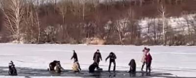В Алтайском крае туристы провалились под лед, желая без очереди посмотреть на лебедей-крикунов