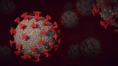 Эксперты оценили вероятность новой волны коронавируса на фоне омикрон-штамма