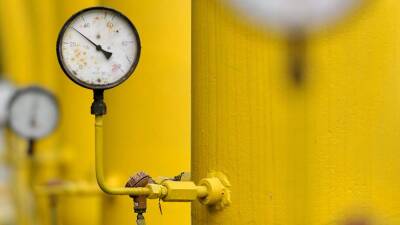 На Украине назвали объем транзита газа из России за 2021 год