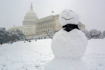 На Вашингтон обрушилась снежная буря