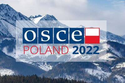 Польша обещает заняться проблемами Украины во время председательства в ОБСЕ