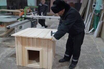 10 будок для бездомных собак сделали заключенные в Томской области