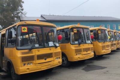 Евгений Егоров - Оформление маршрута школьного автобуса в Домне займёт минимум 2 месяца - chita.ru