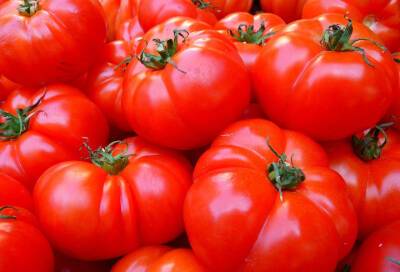 Врачи рассказали о пользе помидоров для сердечно-сосудистой системы