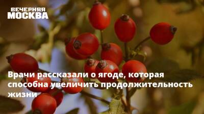 Врачи рассказали о ягоде, которая способна увеличить продолжительность жизни - vm.ru