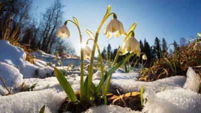 У природы нет плохой погоды: какие приметы говорят о скором приходе весны
