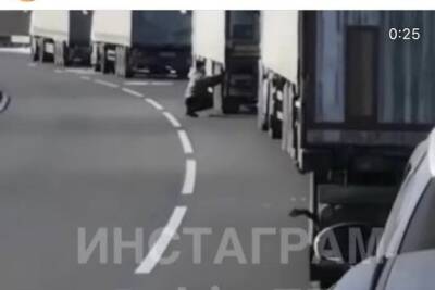 Десятки автомобилей скопились на трассе в Нерчинском районе из-за повреждения ЛЭП - chita.ru - Хабаровск - Чита - Нерчинск