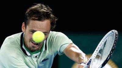 Камельзон оценил шансы Медведева на победу над Надалем в финале Australian Open