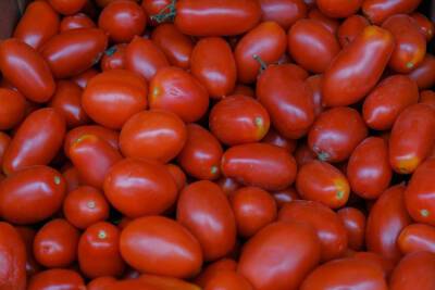 Частое употребление помидоров снижает риск инсульта на 55%