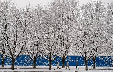В Беларуси — снег, метель и сильный ветер