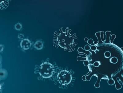 Вирусолог Волчков: Эксперименты с NeoCoV могут обернуться новой пандемией