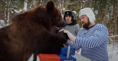 Пока животному не наскучит: в Сети отреагировали на видео армрестлинга медведя с человеком