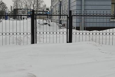 Судья, прокурор и конвой в Петербурге не попали на работу из-за снега