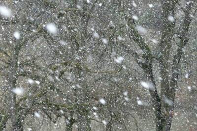 Снегопады в Карелии сохранятся в ночь на понедельник