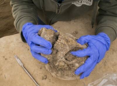 В Украине нашли останки человека возрастом 7 тысяч лет. ФОТО