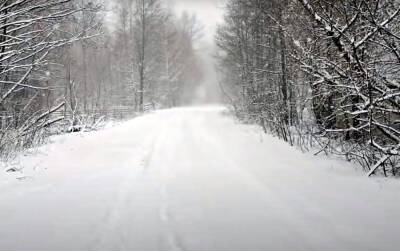 Садиться за руль даже не думайте: в ГСЧС объявили I уровень опасности из-за снегопадов и ураганного ветра