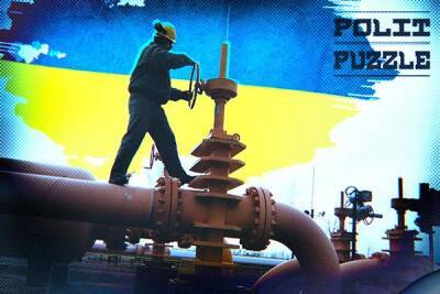 Украинский политолог рассказал, зачем Киев устроил газовый коллапс