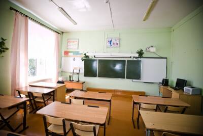 В России полностью переводить школы на дистанционное обучение не планируют