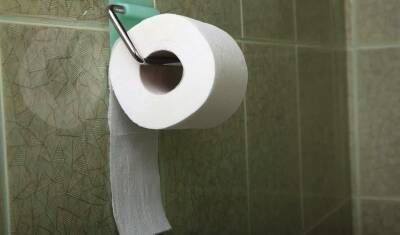 В новосибирской школе появилась туалетная бумага, но только для демонстрации комиссии